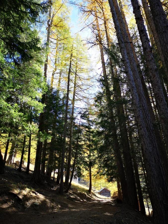 Chalet Le Trient Esterno foto